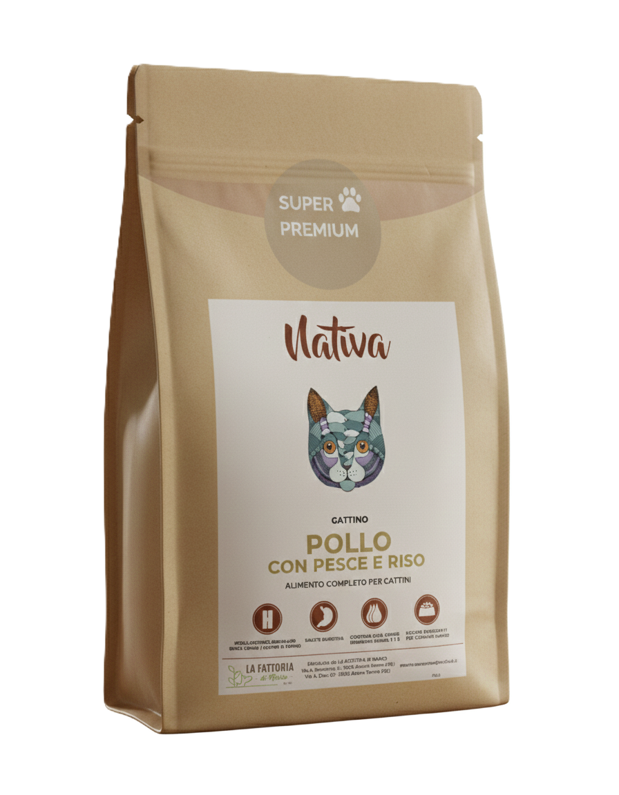 Gattino - Pollo Pesce e Riso