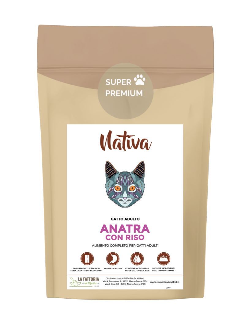 Gatto - Anatra e Riso
