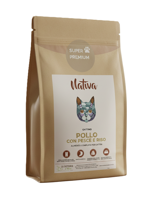 Gattino - Pollo Pesce e Riso